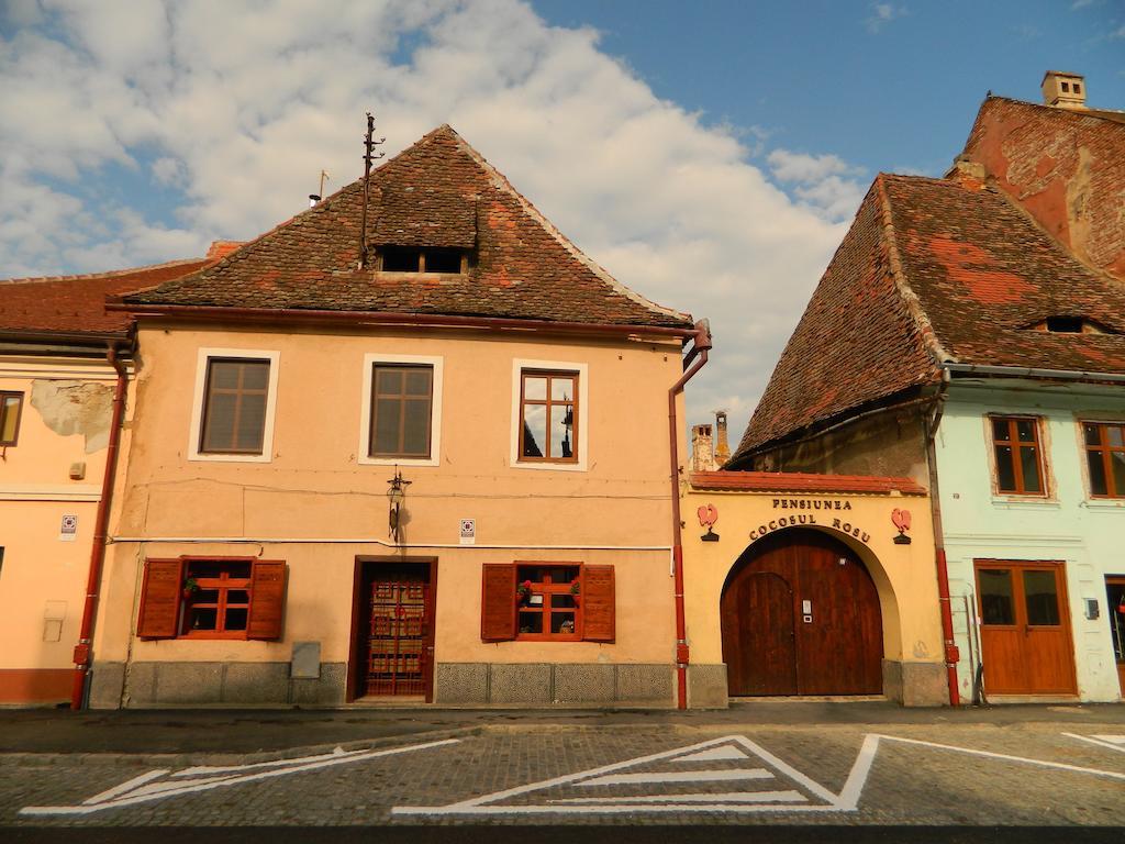 Pensiunea Cocosul Rosu Сібіу Екстер'єр фото